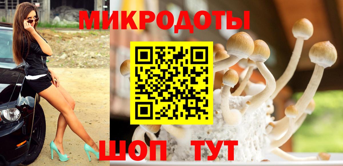 Дмитров  Галлюциногенные грибы мухоморы  Псилоцибиновые грибы Psilocybe  Вход с VPN 